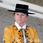 Cavalli spagnoli all&#039;Horsebridge