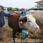 Bagnolo: un weekend di agricoltura e tradizione