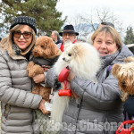 Festa di Sant'Antonio e la benedizione degli animali al Colletto