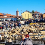 Domenica a Volvera c'è la Fiera autunnale: tanti appuntamenti nelle vie del centro storico 