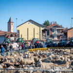 A Volvera c'è la Fiera autunnale: mostra mercato, expo zootecnica e transumanza nel centro storico