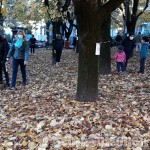 A Cumiana cresce la protesta per salvare i tigli dei Giardini Tassone