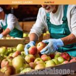 OFFERTA LAVORO ENVIE: CONFEZIONAMENTO FRUTTA