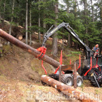 Filiera del legno: lunedì 5 settembre un convegno a Saluzzo