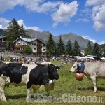 Pragelato: 20ª edizione di Miss Mucca il 20 e 21 luglio