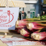 Orbassano: domenica in centro torna la Fiera del Sedano Rosso