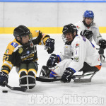 Torre Pellice, weekend di para ice hockey con due gare di campionato