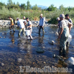 Bricherasio: trote, vaironi e barbi salvati dalla secca del Pellice